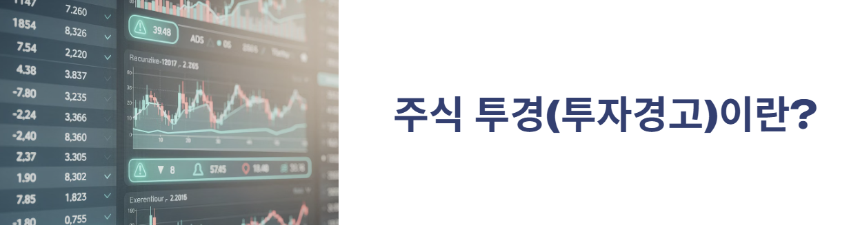 투자경고